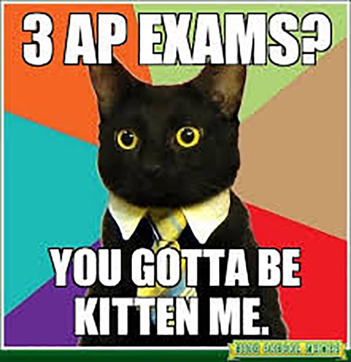 7 Stages of an AP Exam