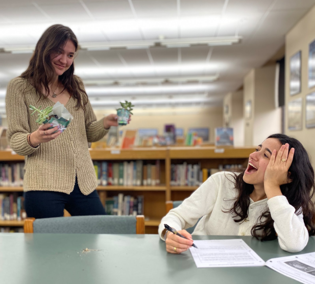 Senior MISH representatives, Sophia Forstmann and Olivia Sharenow worked on a community service initiative that raised money for charity by selling succulents. 
