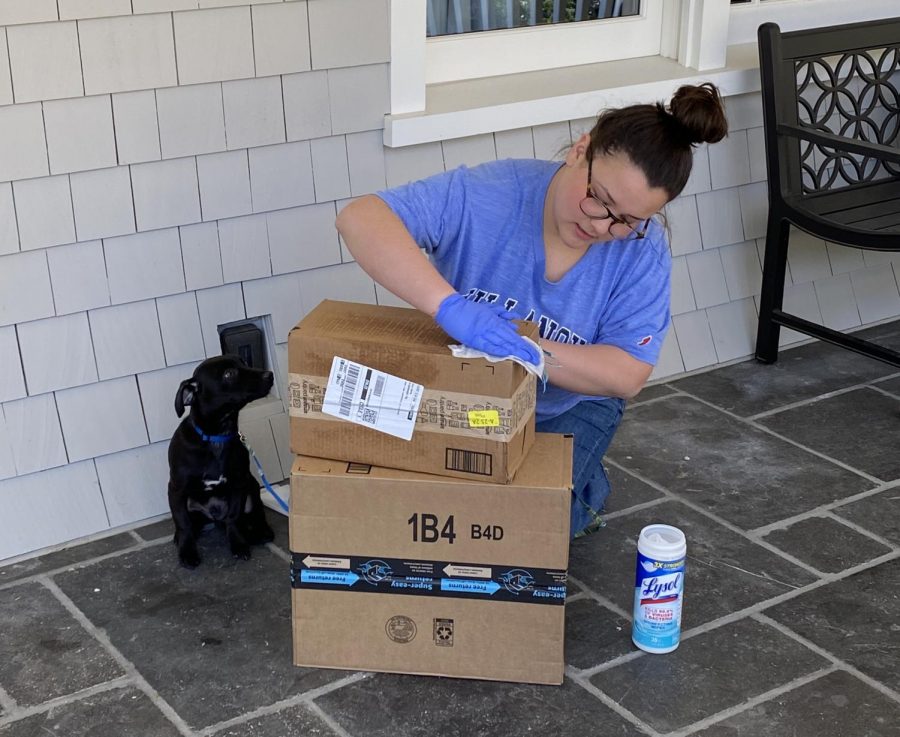 Sophomore Ella Mathas disinfects packages that were delivered to her home, to ensure the safety of her family. Her grandparents are currently living with her, and are considered to be high-risk under CDC guidelines for COVID-19. 
