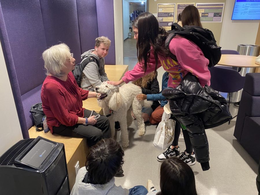 Masters will host therapy dogs on campus every week.