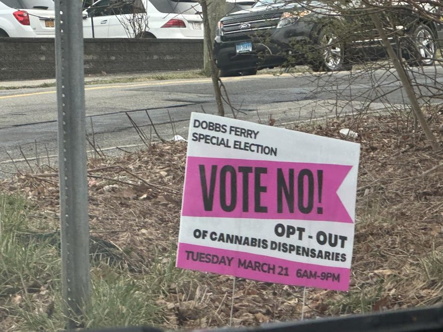Dobbs Ferry voters petitioned City Hall to allow a special election on the adoption of cannabis dispensaries in the village.