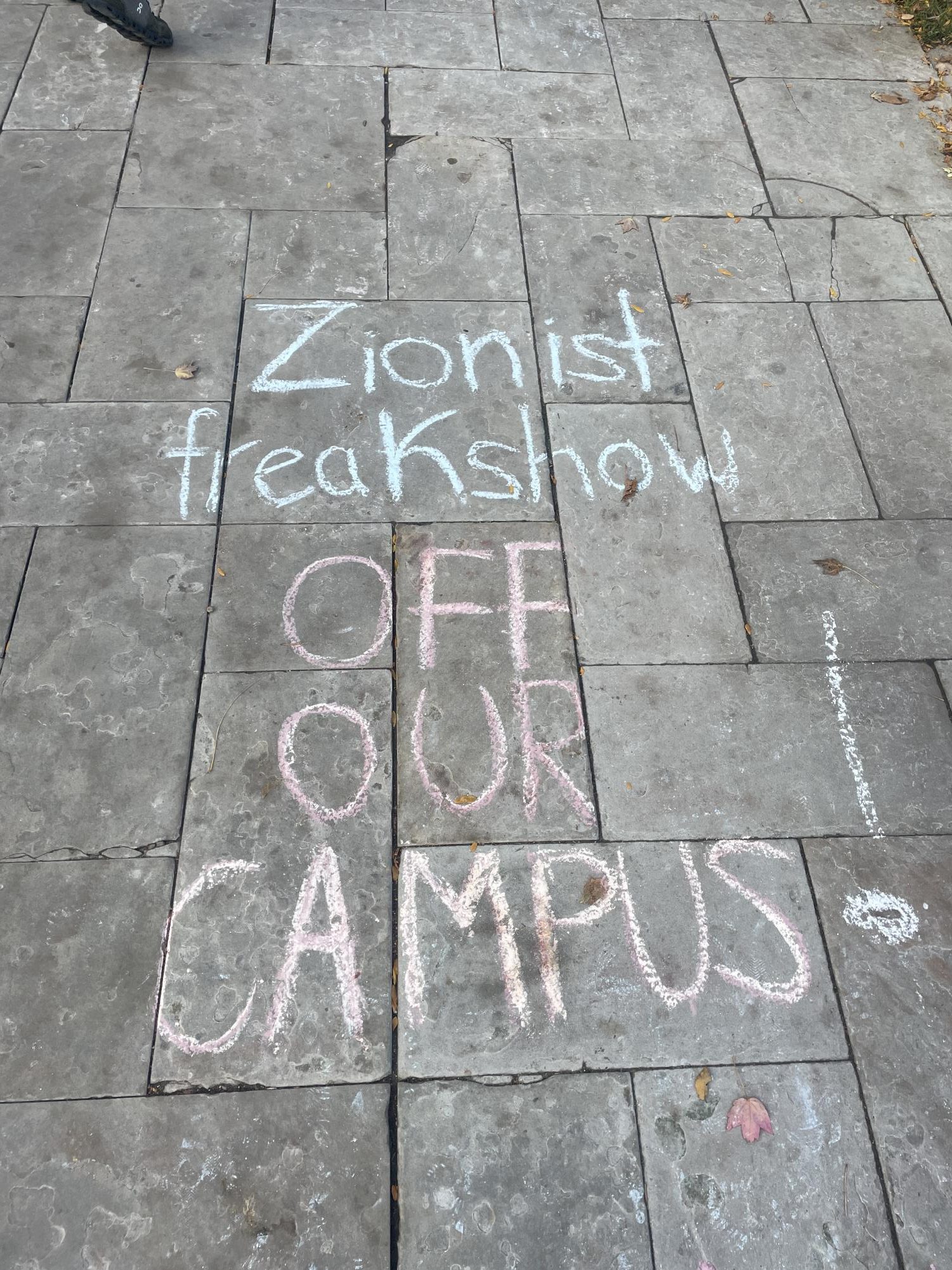 This is an example of a way college students have displayed their opinions. Taken on the quad of the University of Chicago. This was written in chalk. 