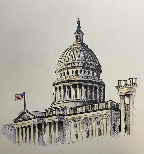 The U.S. Capitol is where representatives from across the country convene to shape national policy. The Problem Solvers Caucus, made up of both Democrats and Republicans, works to break down party lines by promoting bipartisan solutions to America's most difficult issues, from healthcare to immigration.