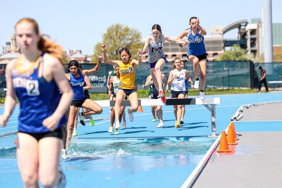 Steeplechase runners chase their niche