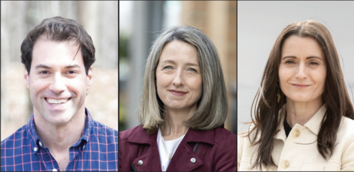 17th Congressional District Democratic Primary Candidates